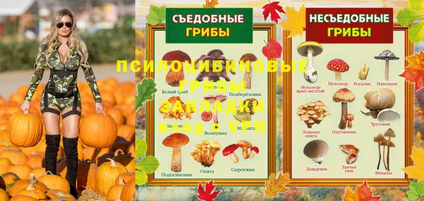 таблы Кукмор