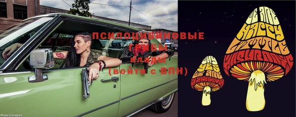 хмурый Куйбышев